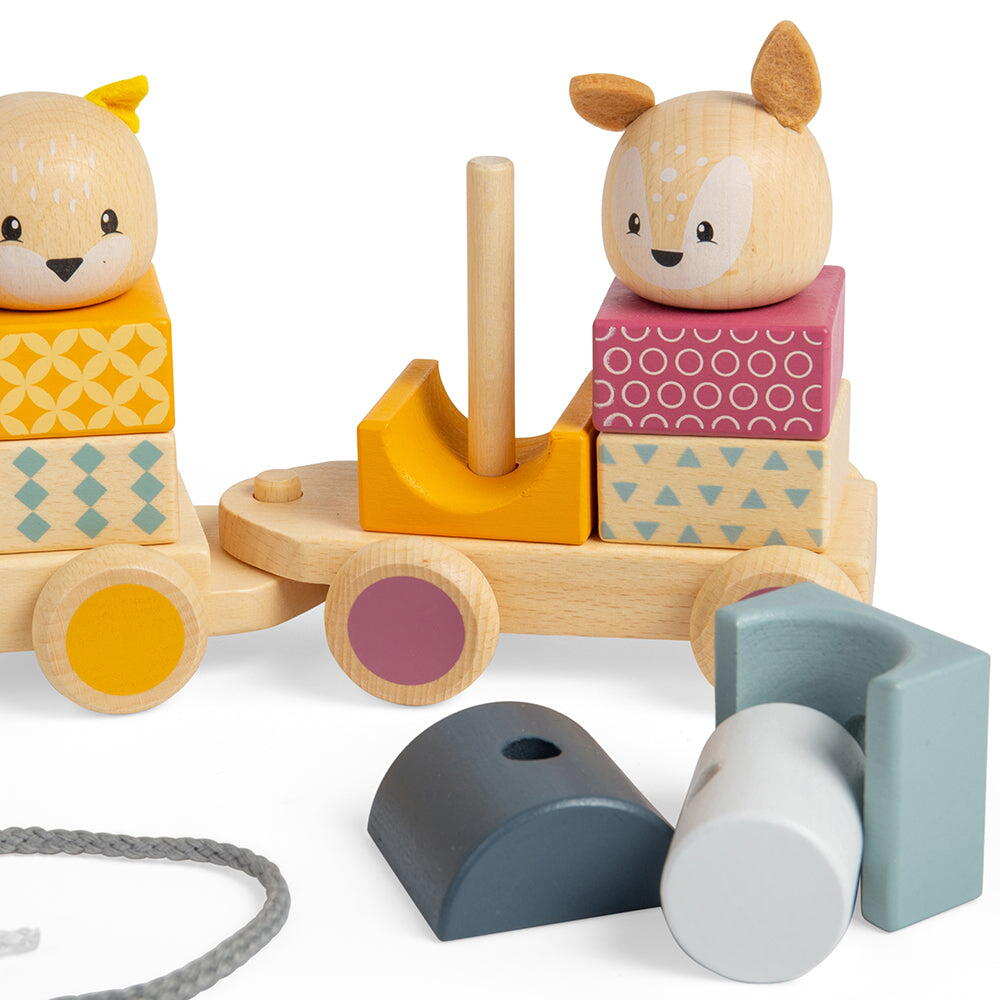 BIGJIGS Toys-Trenulet cu forme - Animalute vesele [7]