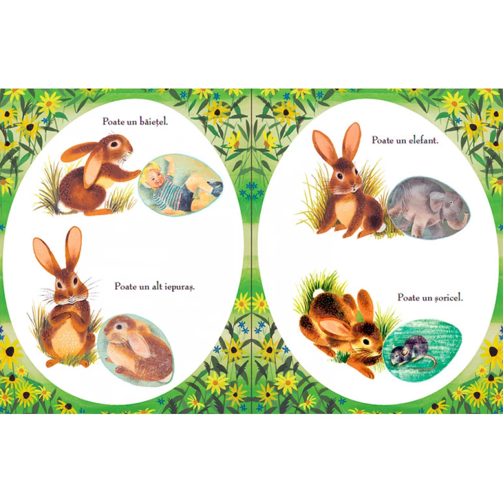 Portocala Albastra-Uite ce-a iesit din ou de MARGARET WISE BROWN [5]