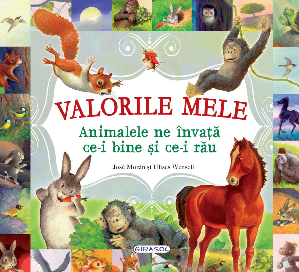Valorile-mele.-Animalele-ne-invata-ce-i-bine-si-ce-i-rau-GIRASOL [1]