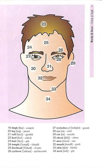 Corint-Vocabularul de baza in imagini - Limba engleza [8]