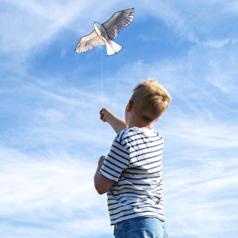 Zmeu vultur Terra Kids, Haba [6]