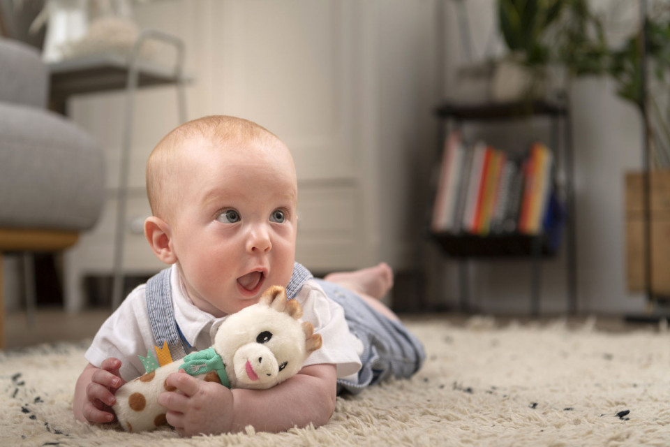 VULLI SAS-Zornaitoare Cu Piuitoare Girafa Sophie [4]