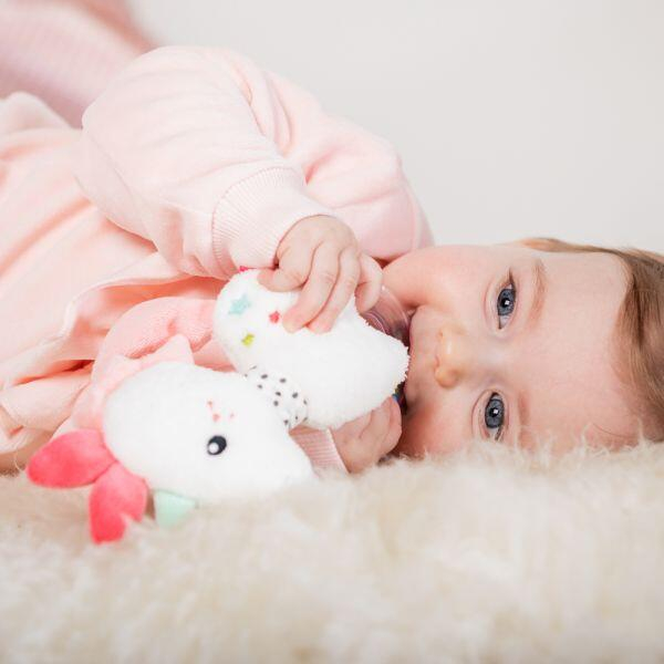 Fehn-Zornaitoare-Unicorn [4]