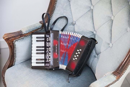 New-Classic-Toys-Acordeon-mare-Instrument-muzical-copii-Negru [2]