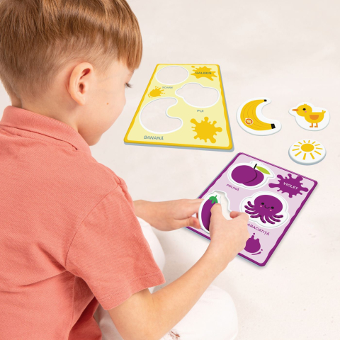 Agerino Baby Montessori Recunoasterea Culorilor [2]