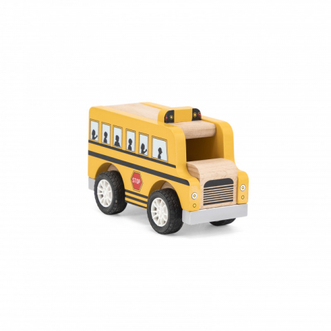 Viga-Autobuz scolar, Viga [2]