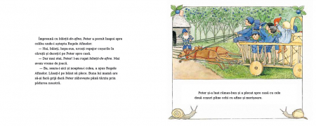 Editura-Cartea-Copiilor-Aventurile-lui-Peter-in-Tara-Afinelor-Elsa-Beskow [5]