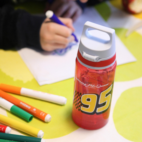 Bidon din polipropilena VIVA ONE Cars, 0.5l [1]