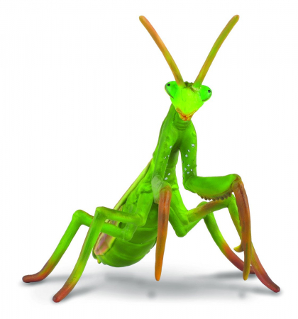 Figurine - Collecta-Calugarita-Animal-figurina
