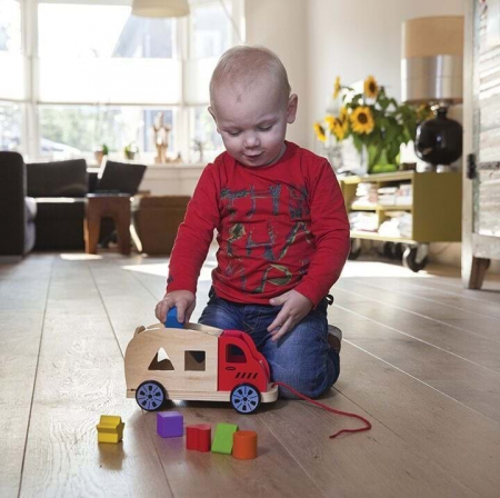 New-Classic-Toys-Camion-Shape-Sorter-cu-6-forme [2]