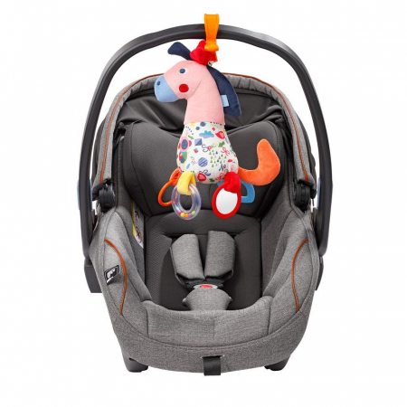 Fehn-Centru de activitati - Calut [1]