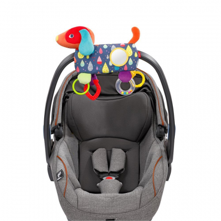 Fehn-Centru de activitati - Catelus [2]