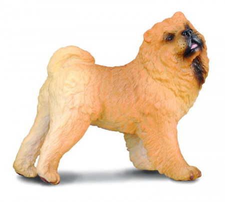 Játékállatok - Collecta-Chow-Chow-Animal-figurina