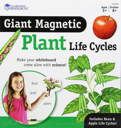 Játékok 3-5 éveseknek - Learning Resources-Ciclul vietii plantei - set magnetic
