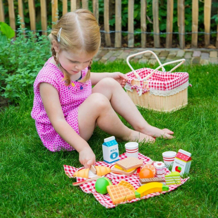 New-Classic-Toys-Cos-picnic [2]