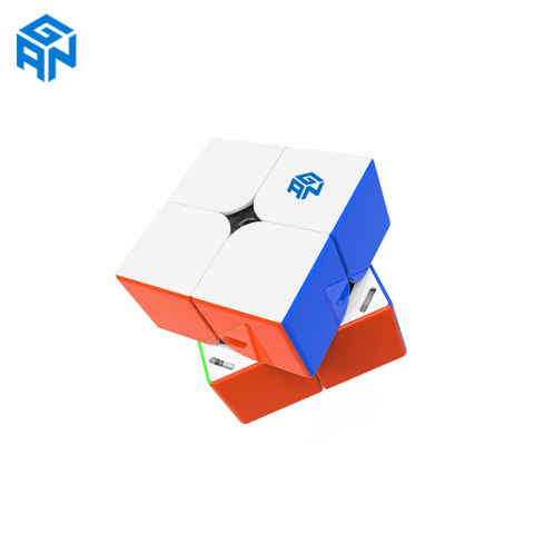 Cub Gan 251 M Pro [1]