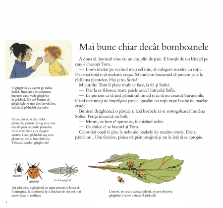 Frontiera-Cum creste gradina mea - Gerda Muller [3]