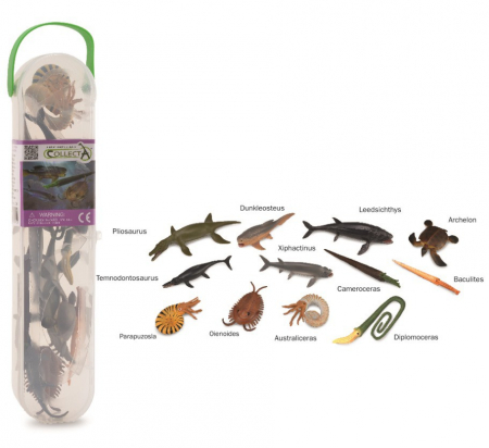 Jucarii +6 Ani - Collecta-Cutie-cu-12-minifigurine-Animale-marine-preistorice