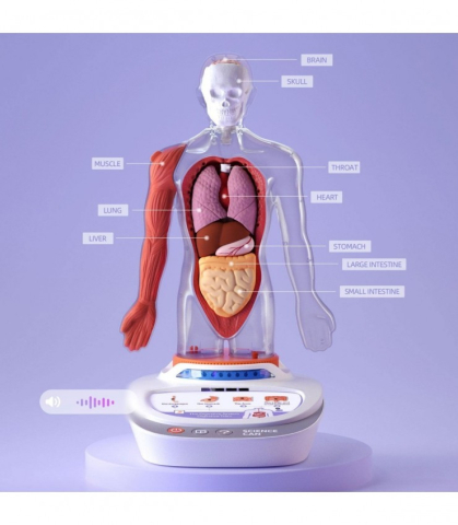 Science Can-Descopera corpul uman - Enciclopedie Interactiva STEAM [1]