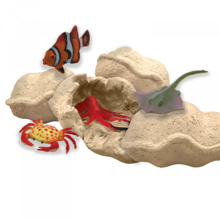 MindWare-Dig-It-Up-Discoveries-Sea-Life [3]
