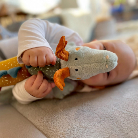 Sigikid-Dragon interactiv din plus, PlayQ Sigikid [10]