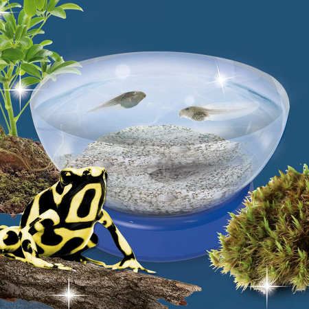 Lisciani Experimentele micului geniu - Habitate si ecosisteme [2]