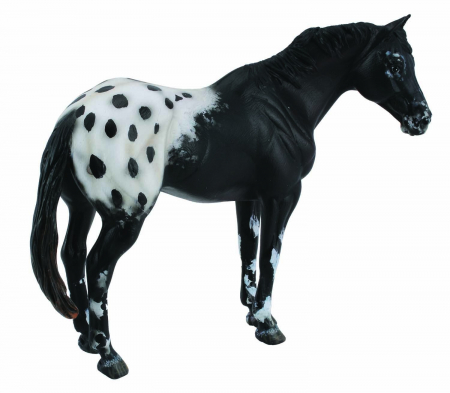 Figurine - Collecta-Armasar-Black-Appaloosa-XL-Animal-figurina