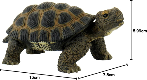 Bullyland-Figurina Broasca Testoasa - Jucarie Educativa, Animal Plastic, Design Realist [2]