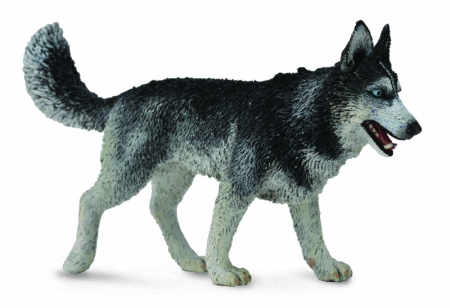 Játékállatok - Collecta-Caine-Husky-Siberian-L-Animal-figurina