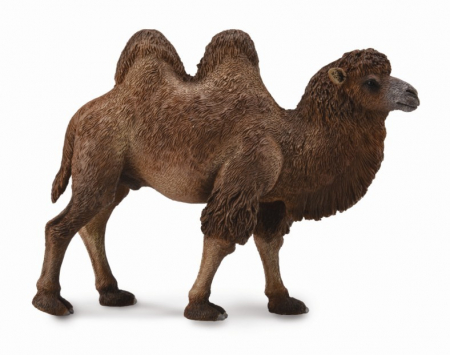 Jucarii animale - Collecta-Camila-Bactrian-L-Animal-figurina