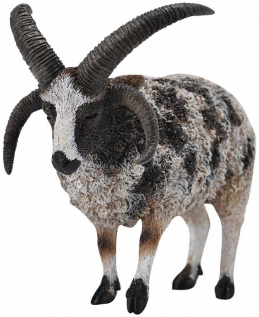 Collecta-Jacob-Sheep-L-Animal-figurina [1]