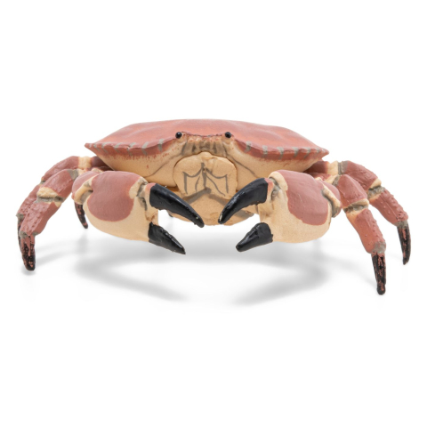 Papo-Figurina Papo Crab – Jucărie Marina, Model Realist pentru Joaca și Colecție [2]