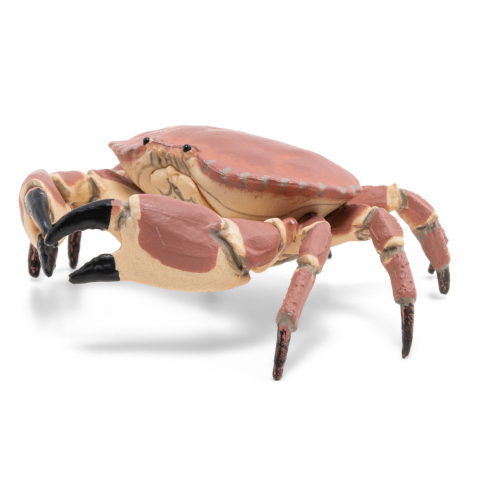 Papo-Figurina Papo Crab – Jucărie Marina, Model Realist pentru Joaca și Colecție [4]
