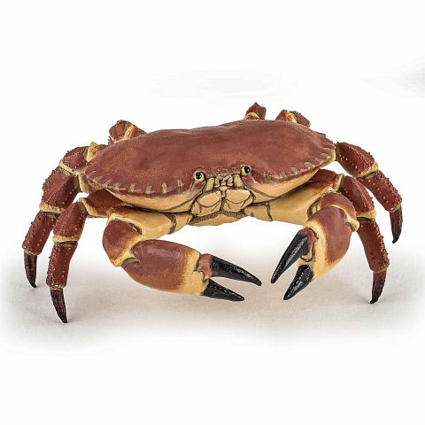 Jucarii educative - Papo-Figurina Papo Crab – Jucărie Marina, Model Realist pentru Joaca și Colecție
