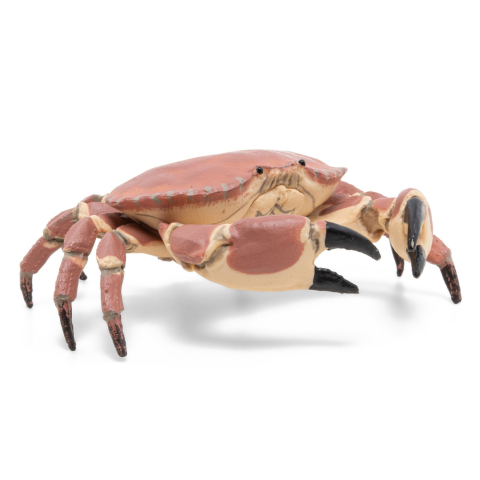 Papo-Figurina Papo Crab – Jucărie Marina, Model Realist pentru Joaca și Colecție [5]