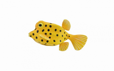 Állatfigurák játékok - Collecta-Peste-Cubicus-Boxfish-S-Animal-figurina