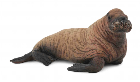 Jucarii 1-3 ani - Collecta-Pui-de-Morsa-M-Animal-figurina