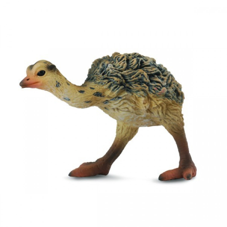 Figurine - Collecta-Pui-de-Strut-S-Animal-figurina