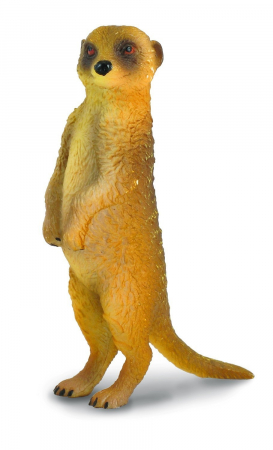 Figurine - Collecta-Figurina-Suricata-Stand