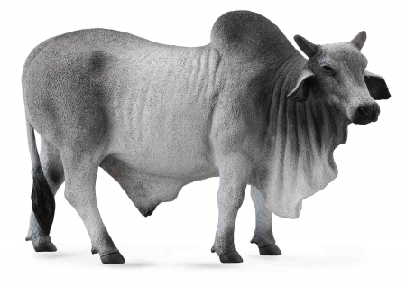 Játékállatok - Collecta-Taur-Brahman-L-Animal-figurina