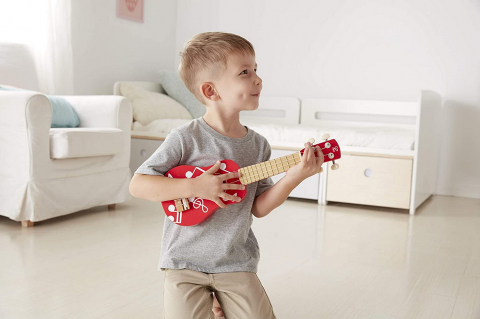 Hape Set Mini Formatie [3]