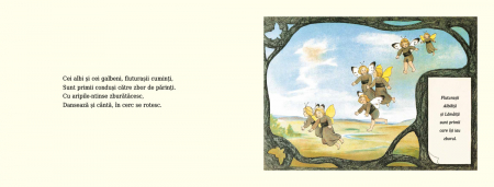 Editura Cartea Copiilor Imparatia fluturilor - de Sibylle von Olfers [4]