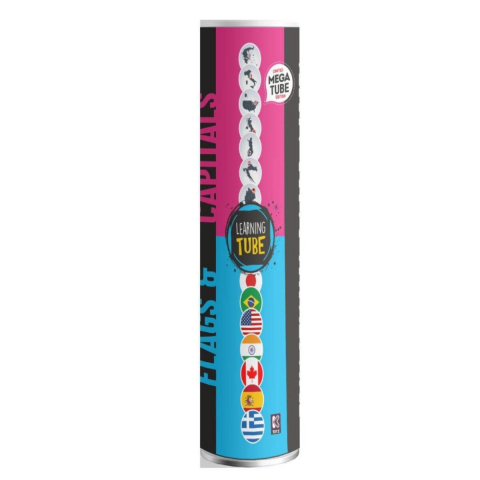 Cadouri copii - Joc-Learning-Tube®-Steaguri-capitalele-lumii-K-TOYZ