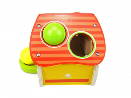 Topbright-Jucarie-dexteritate-Casuta-bilutelor [4]