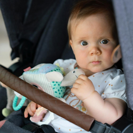 Fehn-Jucarie-dexteritate-Testoasa [3]