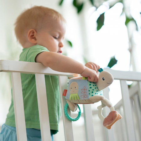 Fehn-Jucarie-dexteritate-Testoasa [4]