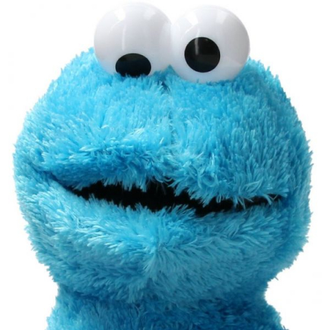Play by Play-Jucarie din plus Cookie Monster, Sesame Street, 38 cm [3]