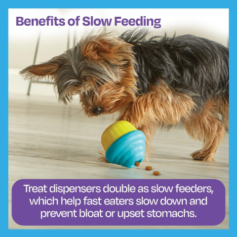 Jucarie dresaj caini - Jucarie eliberare recompense Briosa [4]