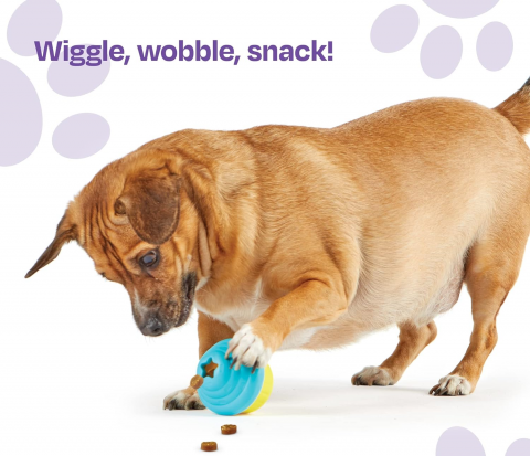 Jucarie dresaj caini - Jucarie eliberare recompense Briosa [2]