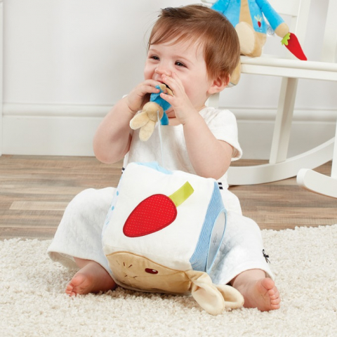 Rainbow Designs-Jucarie interactiva din plus Peter Rabbit [1]